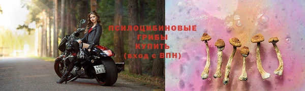 дживик Навашино