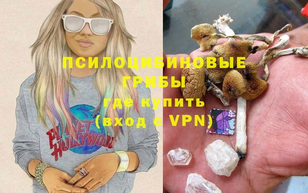 гидропоника Наволоки