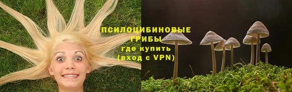 apvp Михайловск